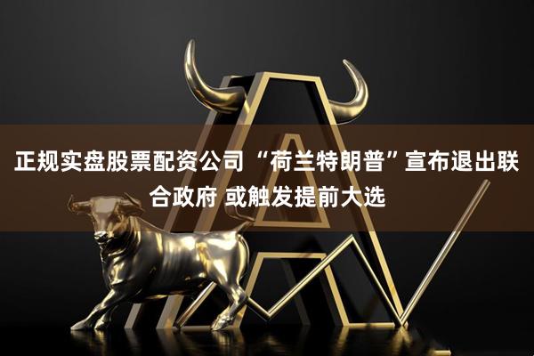 正规实盘股票配资公司 “荷兰特朗普”宣布退出联合政府 或触发提前大选